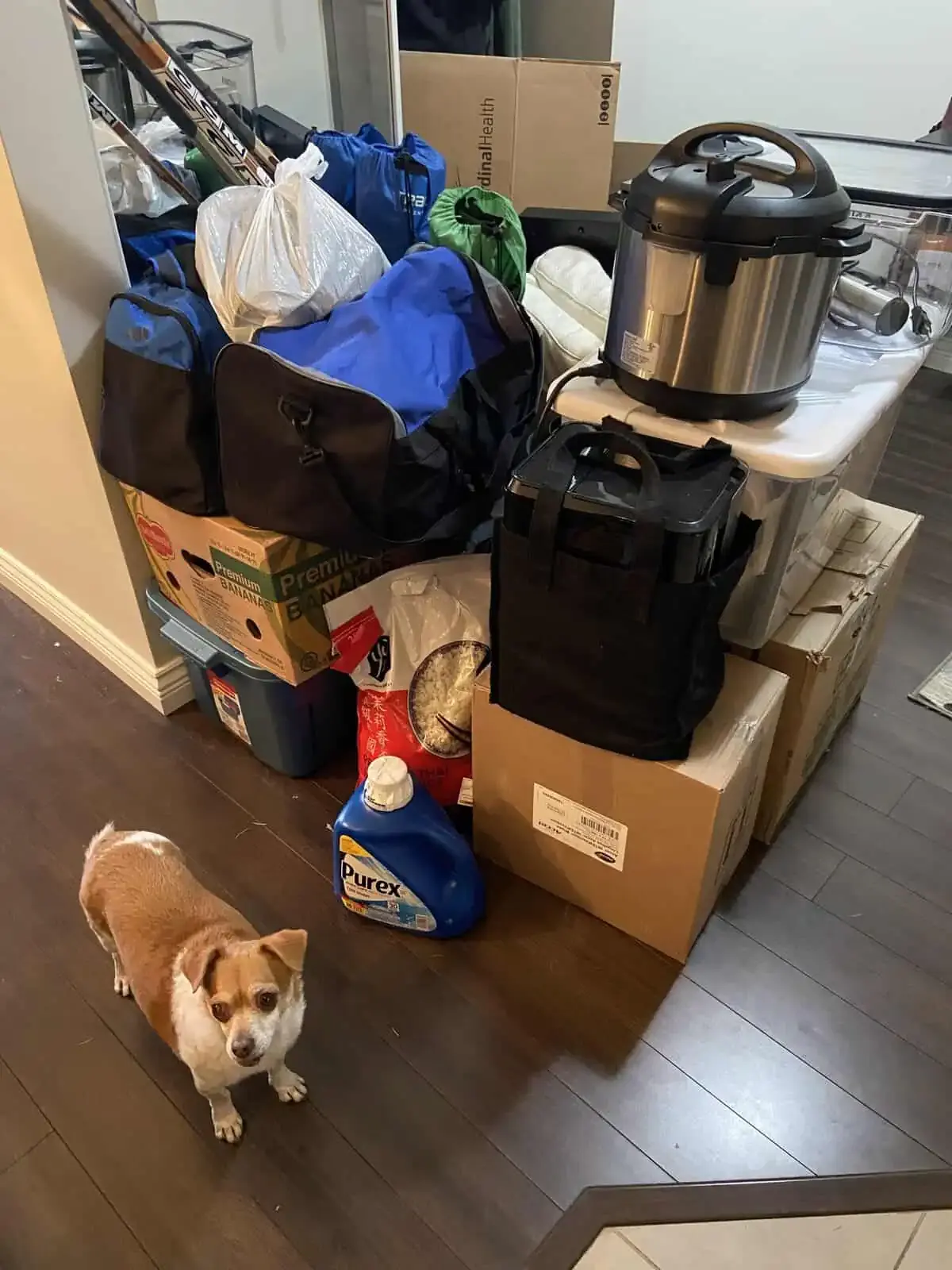 Moving & Hauling